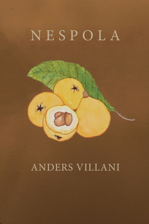 Book Nespola Anders Villani