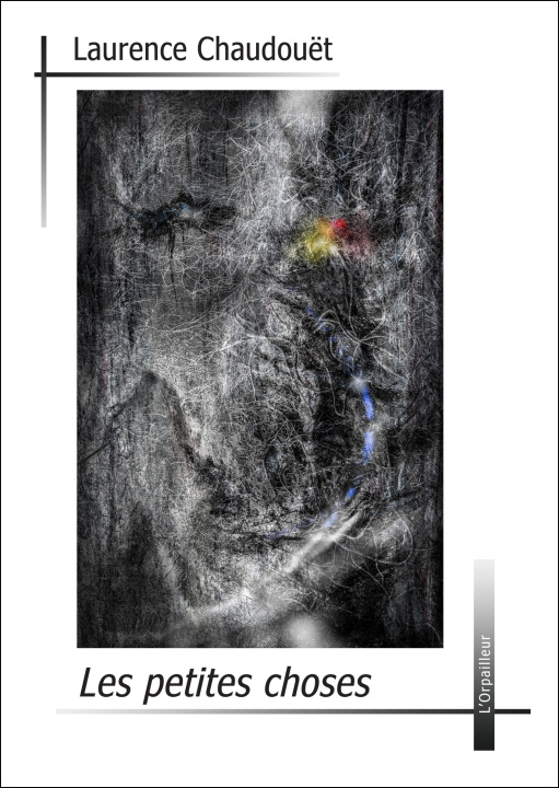 Boek Les petites choses Chaudouët