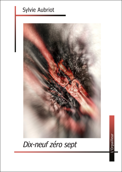Book Dix-neuf zéro sept Aubriot