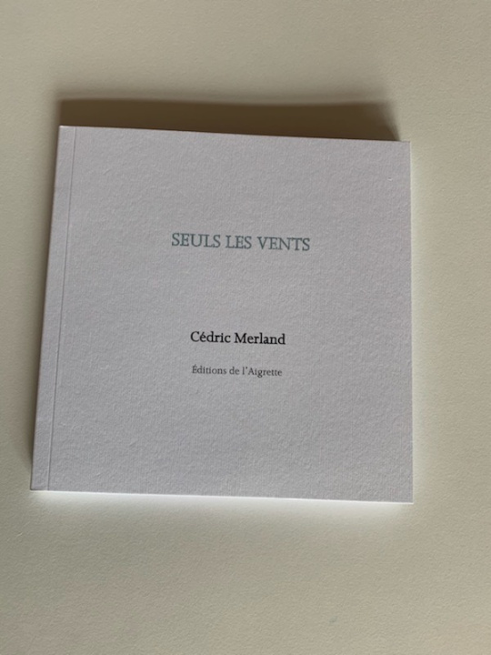 Boek Seuls les vents Merland