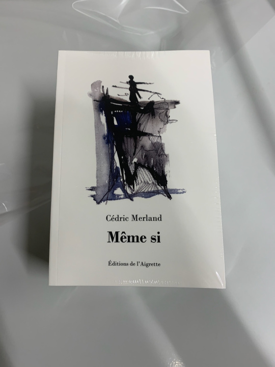 Book Même si Merland