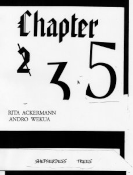 Kniha Chapter 5 