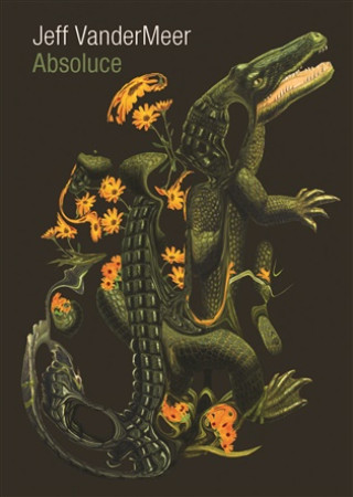 Könyv Absoluce Jeff VanderMeer
