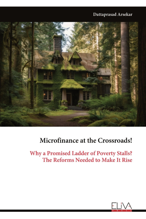 Kniha Microfinance at the Crossroads! Dattaprasad Arsekar