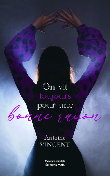 Knjiga On vit toujours pour une bonne raison Antoine Vincent