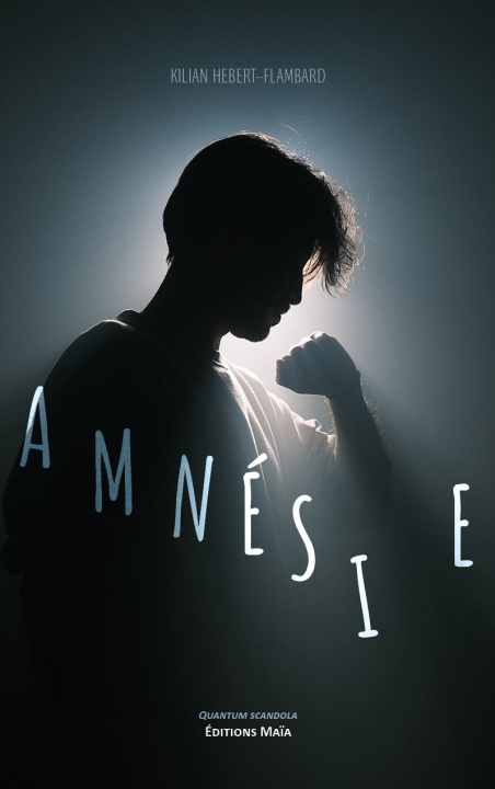 Kniha Amnésie Kilian Hebert-Flambard