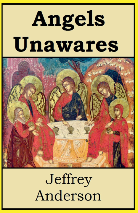 Book Angels Unawares Jeffrey Anderson