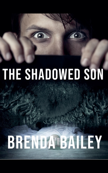 Kniha The Shadowed Son Brenda Bailey