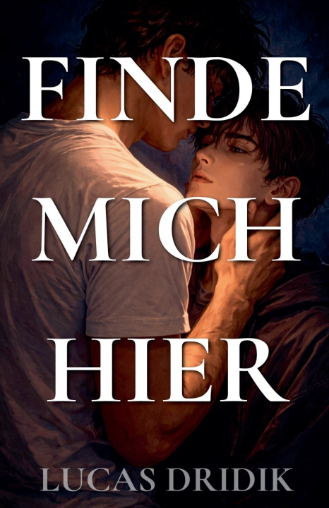 Kniha Finde mich hier Lucas Dridik