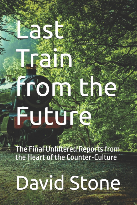 Kniha Last Train from the Future David J Stone