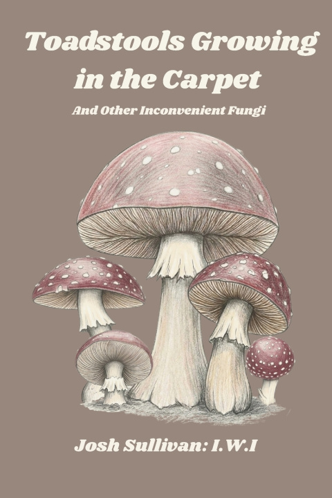 Kniha Toadstools Growing in the Carpet Josh Sullivan