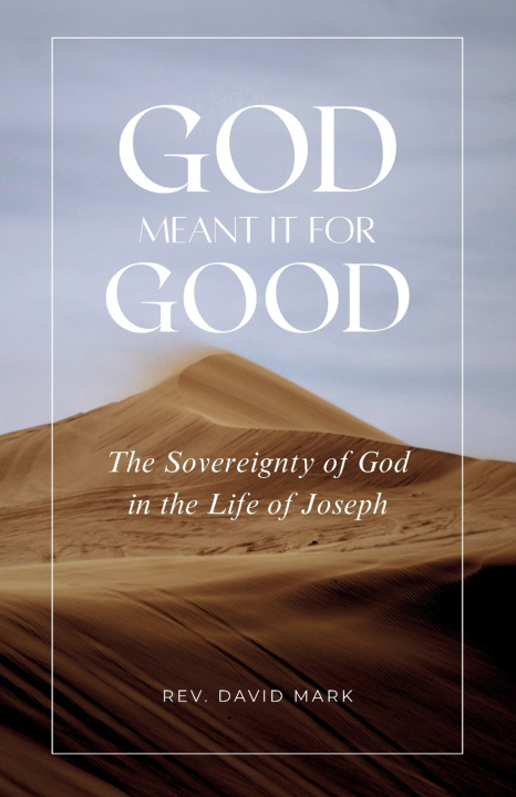 Kniha God Meant it for Good David Mark