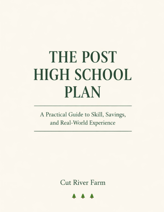 Kniha The Post High School Plan Jon & Angela Stoyak