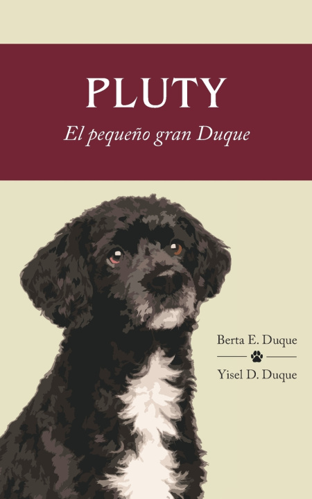 Kniha Pluty Yisel D Duque