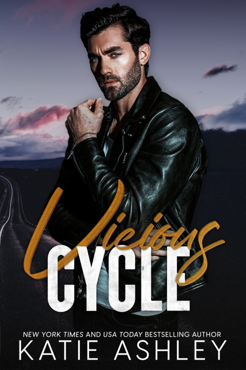 Kniha Vicious Cycle Katie Ashley