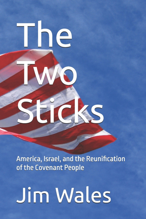 Kniha The Two Sticks Jim Wales
