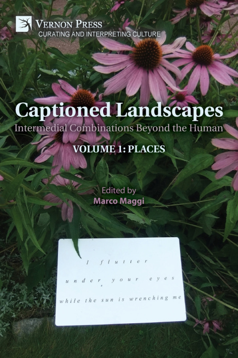 Kniha Captioned Landscapes Marco Maggi