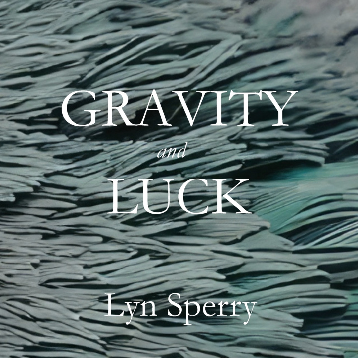 Kniha Gravity and Luck Lyn Sperry