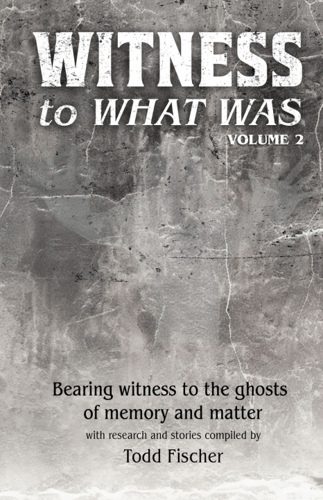 Buch WITNESS to What Was Todd Fischer
