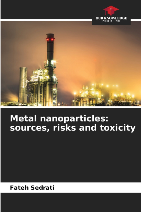 Kniha Metal nanoparticles Fateh Sedrati