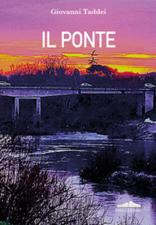 Kniha ponte Giovanni Taddei