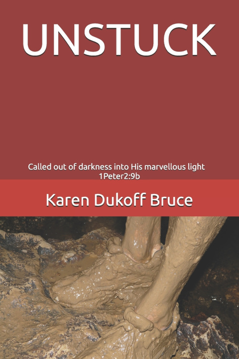 Kniha UNSTUCK Karen Dukoff Bruce
