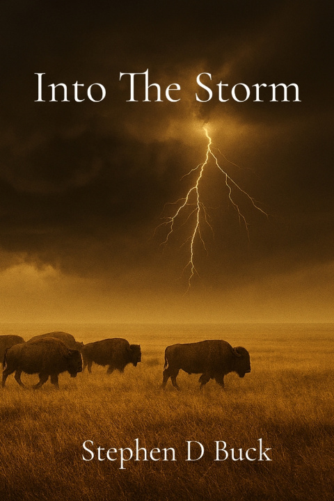 Kniha Into The Storm Stephen D Buck