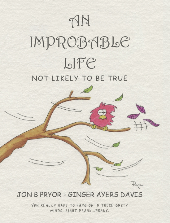 Kniha An Improbable Life Jon B Pryor