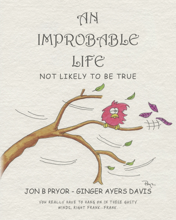 Kniha An Improbable Life Jon B Pryor
