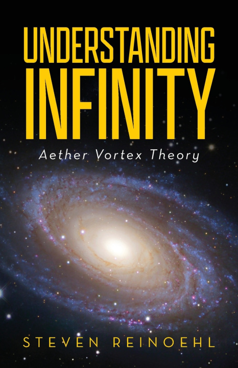 Kniha Understanding Infinity Steve Reinoehl