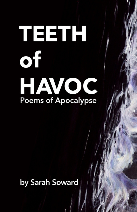 Knjiga Teeth of Havoc Sarah Soward