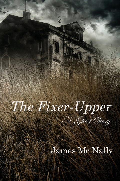 Könyv The Fixer-Upper James McNally