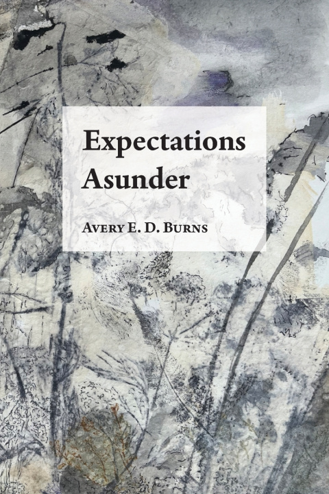 Kniha Expectations Asunder Avery A. E. Burns