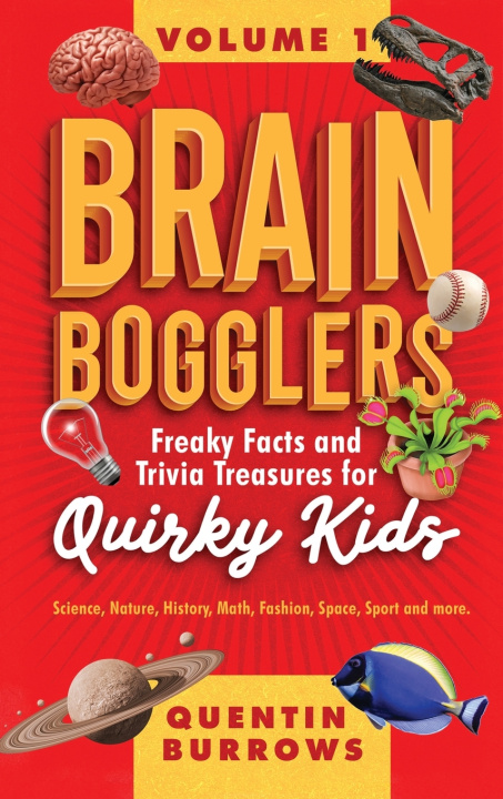 Kniha Brain Bogglers Quentin Burrows