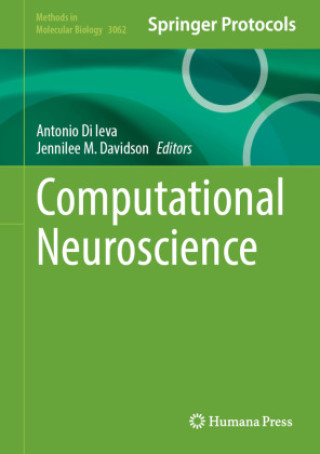 Kniha Computational Neuroscience Jennilee M Davidson