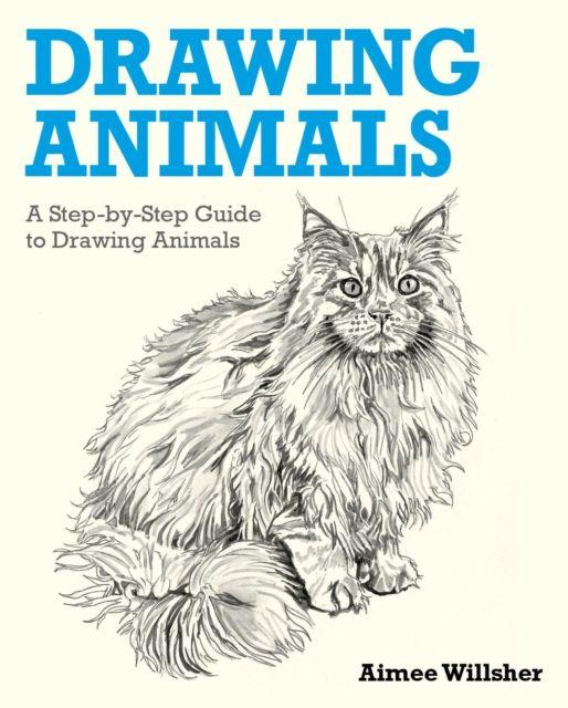 Kniha Drawing Animals Aimee Willsher