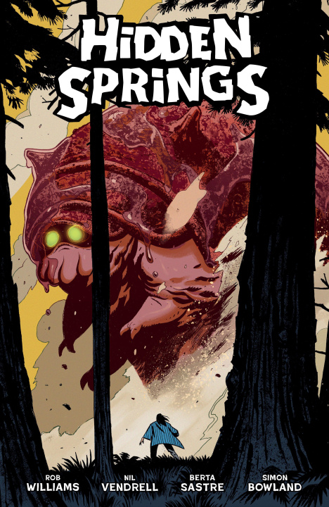 Kniha Hidden Springs Nil Vendrell