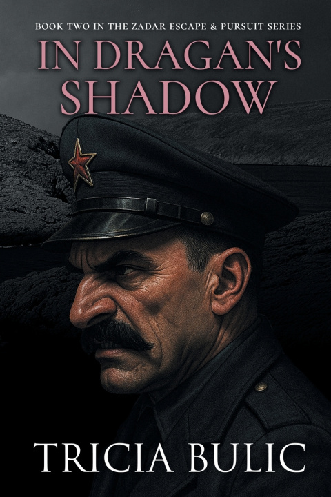 Kniha In Dragan's Shadow Tricia Bulic