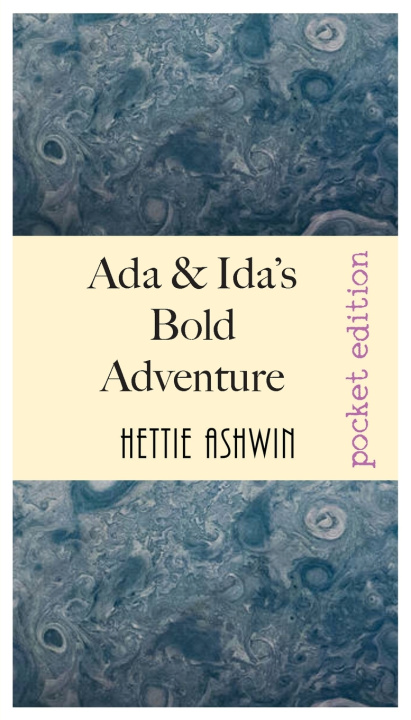 Könyv ADA & IDA'S BOLD ADVENTURE Hettie Ashwin