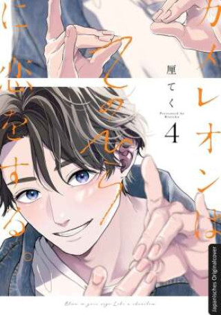 Knjiga Sag's mit den Händen 04 Loewe Manga