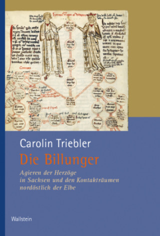 Kniha Die Billunger Carolin Triebler