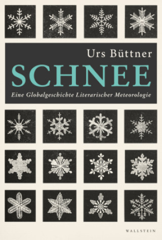 Kniha Schnee Urs Büttner