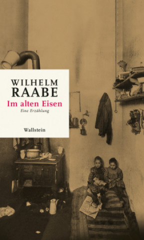 Knjiga Im altem Eisen Julia Bertschik