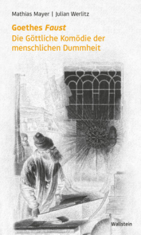 Kniha Goethes 'Faust' Julian Werlitz