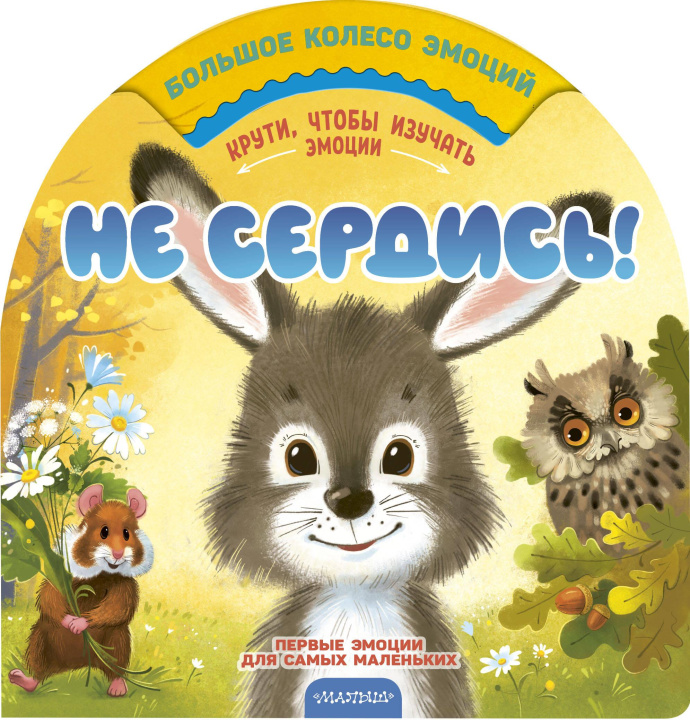 Kniha Не сердись! М.А. Чебан
