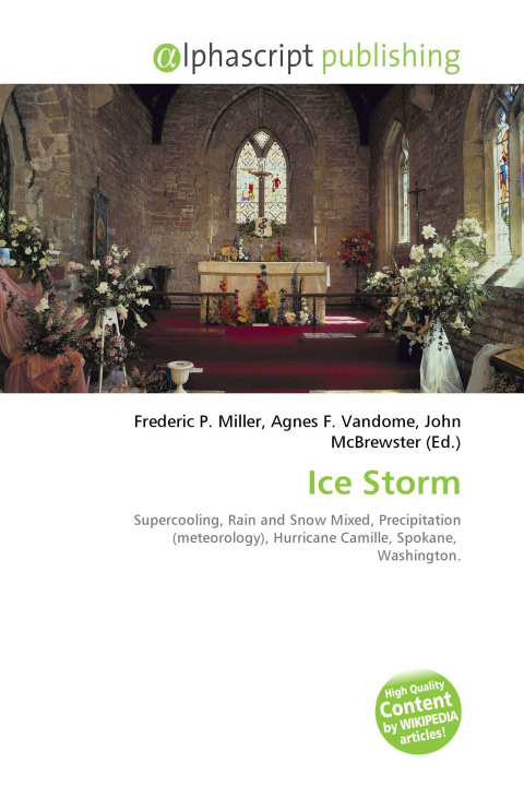 Kniha Ice Storm Agnes F. Vandome