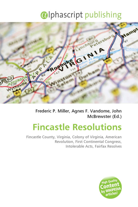 Kniha Fincastle Resolutions Agnes F. Vandome