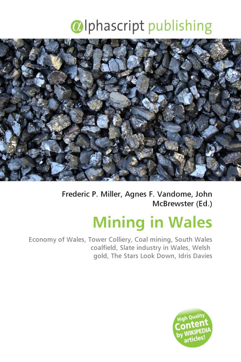 Kniha Mining in Wales Agnes F. Vandome