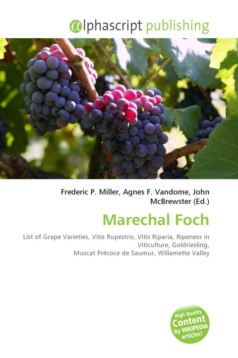 Kniha Marechal Foch Agnes F. Vandome