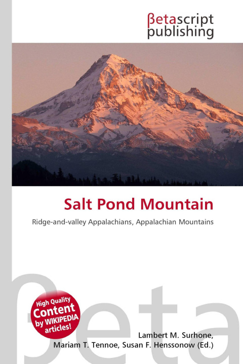 Kniha Salt Pond Mountain Mariam T. Tennoe